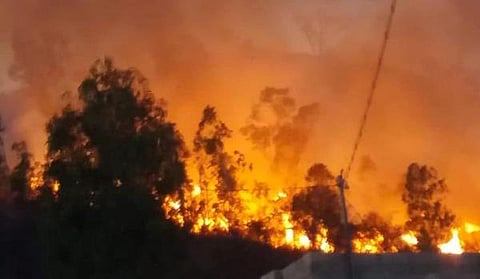 கோப்புப் படம்