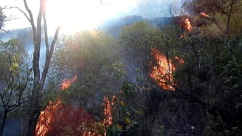 பிரதிநிதித்துவப் படம்