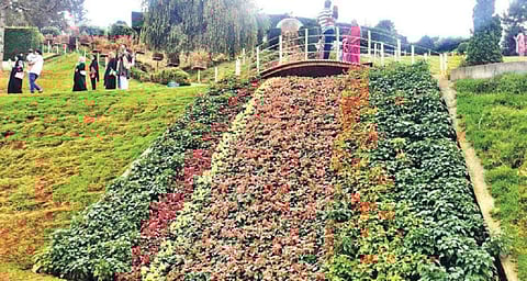 உதகையில் உள்ள கர்நாடகா பூங்காவில் அமைக்கப்பட்டுள்ள மலர் அருவியை கண்டு ரசித்த சுற்றுலா பயணிகள். படம்: ஆர்.டி.சிவசங்கர்.