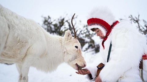 Stolen: கலைமான் கூட்டத்தில் ஒரு கன்றுக்குட்டி | ஓடிடி திரை அலசல்