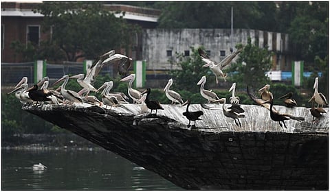 கோப்பு படம் | படம்:எஸ்.சத்தியசீலன்