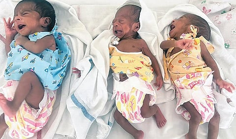 திருப்பூர் அரசு மருத்துவக் கல்லூரி மருத்துவமனையில் ஒரே பிரசவத்தில் பிறந்த 3 குழந்தைகள்.