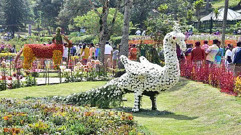 கோப்புப் படம்