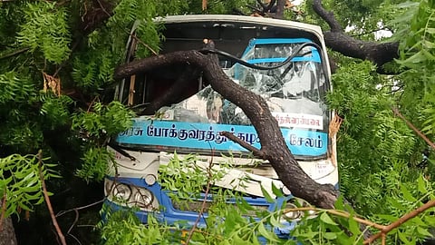 மேட்டூரில் பலத்த காற்றுடன் கனமழை: மரம் விழுந்து அரசுப் பேருந்து சேதம்