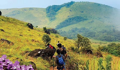 மலைப் பயணம்: தெவிட்டாத பொழில் தேடியந்தமால்!
