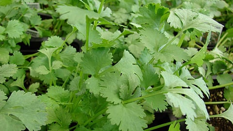 கோப்புப்படம்