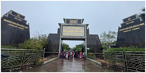 முதலை கடித்து உணவளிக்கச் சென்ற ஊழியர் படுகாயம் @ வண்டலூர் உயிரியல் பூங்கா