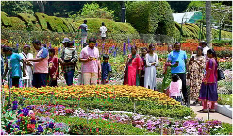கொடைக்கானல்