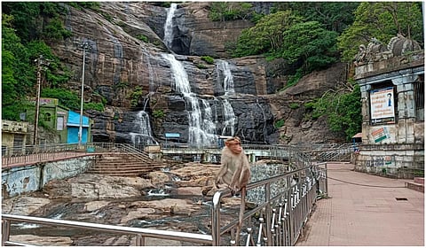 குற்றாலம் அருவி