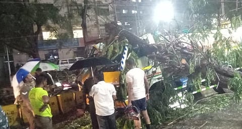 கோவை ரேஸ்கோர்ஸ் பகுதியில் தனியார் மருத்துவமனையின் அருகே வாகனத்தின் மீது விழுந்த மரத்தை அகற்றும் பணியில் ஈடுபட்டுள்ள தீயணைப்புத் துறையினர்.