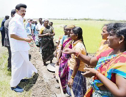 வேளாண்மைத் துறையில் இந்தியாவிலேயே தமிழகம் முன்னணியில் உள்ளது: தமிழக அரசு