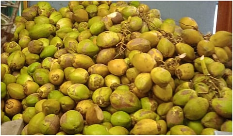 ணக்குள விநாயகர் கோயிலில் மூலவருக்கு 1008 இளநீர் அபிஷேகம்