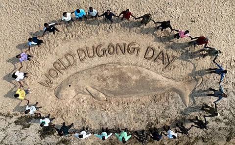 புதுப்பட்டினம் கடற்கரையில், சர்வதேச கடல்பசு தினத்தைக் கொண்டாடும் வகையில் கடற்பசு மணற்சிற்பம் மற்றும் அதனைச் சுற்றி மனித சங்கிலி.