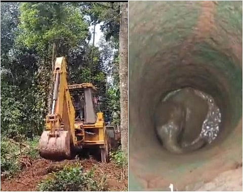 நீலகிரி: கிணற்றுக்குள் விழுந்த குட்டி யானையை மீட்க 4 மணி நேரமாக போராட்டம்