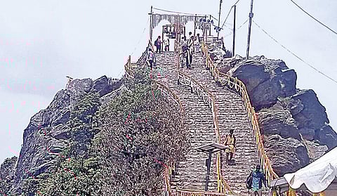 படங்கள்: ஜார்ஜ் பிரவீன்