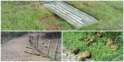 பேரிஜம் ஏரிக்குச் செல்லும் சாலையில் வனத்துறை அறிவிப்பு பலகை, மரத்தாலான தடுப்பு வேலிகளை யானைகள் சேதப்படுத்தின