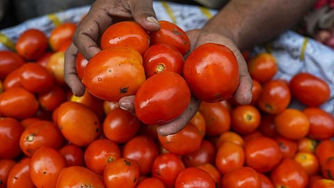 கோயம்பேடு சந்தையில் தக்காளி, பீன்ஸ் விலை சரிவு