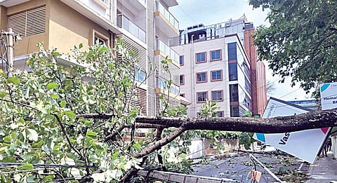 பெங்களூருவில் கனமழை காரணமாக முக்கிய சாலை சந்திப்பில் மரத்தோடு சாய்ந்து விழுந்த மின் கம்பம்.