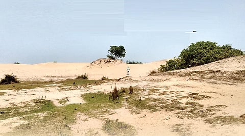 தியாகவல்லி | அழகிய வெண்மணல் கடற்கரை