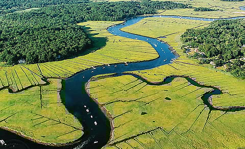 கூடு திரும்புதல் 07 | காற்று விதைத்தவன்