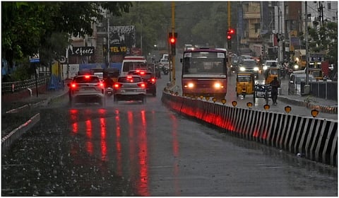 படம்: ம.பிரபு