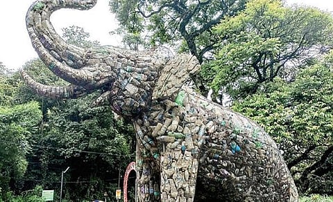 படங்கள்: என்.கணேஷ்ராஜ்.