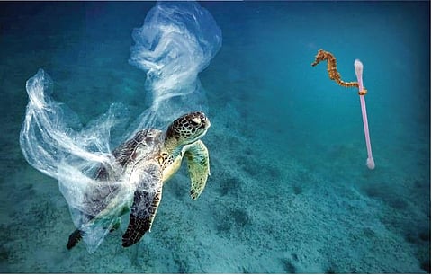 கூடு திரும்புதல்: கடல், காலநிலை, நாம் - 8: குருதியில் கலந்த ஞெகிழி