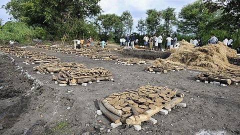 கள்ளக்குறிச்சியில் ஒரே இடத்தில் தகனம் செய்யப்பட்ட கள்ளச் சாராயத்தால் உயிரிழந்தோர் உடல்கள்.
