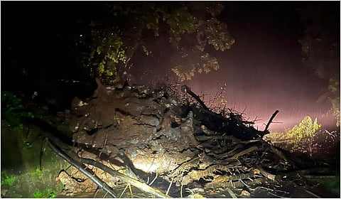 நீலகிரியில் கன மழை