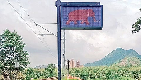 கோவையை அடுத்த மதுக்கரை வனச்சரகத்தில் ரயில் ஓட்டுநர்கள் யானை நடமாட்டத்தை அறிந்து கொள்ள வைக்கப்பட்ட எச்சரிக்கை பலகை.