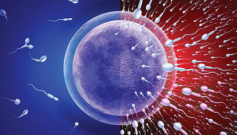 குழந்தையின்மைக்கு இலவச சிகிச்சை சவால்கள் என்ன?