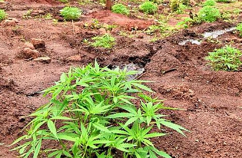 மாதிரிப் படம்