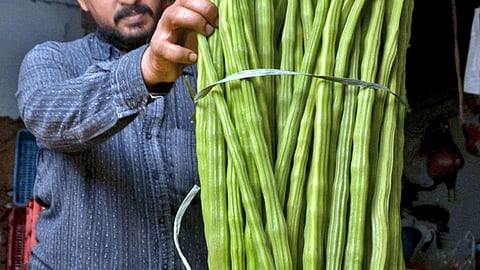 பிரதிநிதித்துவப் படம்