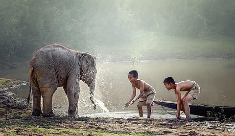 புதுமை புகுத்து 24: யானையே உன் பெயர் என்ன?