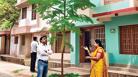 வண்ணக் கிளிஞ்சல்கள் - 12: முருங்கை மரம்