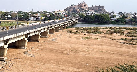 கோடையிலும் கொண்டாடலாம் காவிரியை!