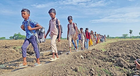 சிதம்பரம் அருகே சிறுகாலூர் கிராம பள்ளி மாணவர்கள் வயல் வெளி வரப்பில் நடத்து பள்ளிக்கு செல்கின்றனர்.