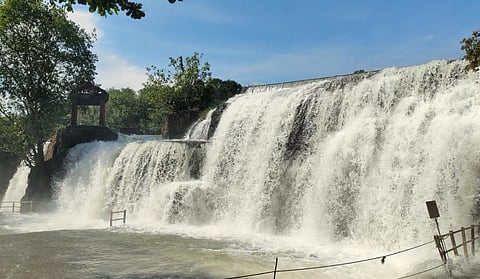 குமரியில் பெய்து வரும் தொடர் மழையால் பேச்சிப்பாறை அணையில் இருந்து உபரிநீர் திறக்கப்பட்டுள்ளதால் திற்பரப்பு அருவி ஆர்ப்பரித்து கொட்டுகிறது.