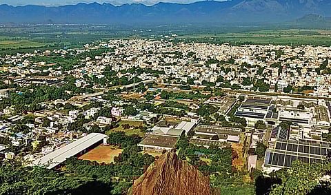 மேற்குத் தொடர்ச்சி மலையின் பின்னணியில் ராஜபாளைய ம் நகரின் தோற்றம்.