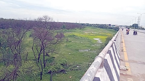 சென்னையில் இருந்து செல்லும்போது காஞ்சிபுரத்தின் நுழைவு வாயிலில் புதர் மண்டிக் கிடக்கும் பொன்னேரி.