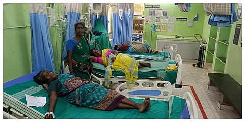 தேவகோட்டை அருகே விஷ வண்டுகள் கடித்து மயக்கமடைந்த 22 பெண்கள் அரசு மருத்துவமனையில் சிகிச்சைக்காக அனுமதிக்கப்பட்டுள்ளனர்.