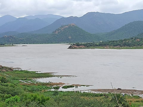 கர்நாடக அணைகளில் இருந்து திறக்கப்பட்ட நீர், மேட்டூர் அருகே செட்டிப்பட்டி பரிசல் துறை பகுதியில் அணையை நோக்கி பாய்ந்தோடுகிறது.