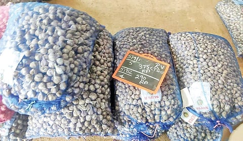 கொடைக்கானலில் விற்பனைக்கு அனுப்ப தயார் நிலையில் உள்ள மேட்டுப்பாளையம் ரக விதைப் பூண்டு.