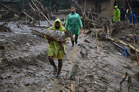 படம்: துளசி கக்கட்