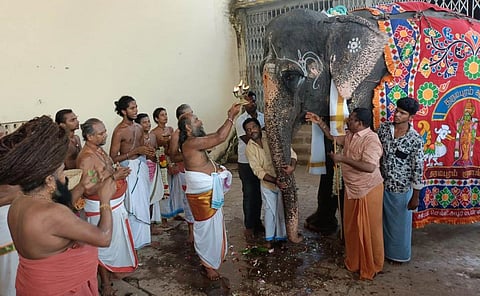 தருமபுரம் ஆதீன திருமடத்துக்கு தானமாக வழங்கப்பட்ட யானை ஞானாம்பிகைக்கு, தருமபுரம் ஆதீனம் 27-வது குரு மகா சந்நிதானம் ஸ்ரீலஸ்ரீ மாசிலாமணி தேசிக ஞானசம்பந்த பரமாச்சாரிய சுவாமிகள் முன்னிலையில் நடைபெற்ற சிறப்பு பூஜை.