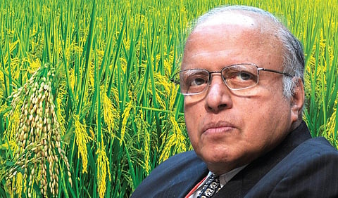 இந்தியாவின் பட்டினிக்கு முற்றுப்புள்ளி வைத்தவர் | எம்.எஸ்.சுவாமிநாதன் நுற்றாண்டு தொடக்கம்