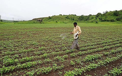 2023-24 நிதியாண்டில் சீனாவில் இருந்து ரூ.6,127 கோடிக்கு யூரியா இறக்குமதி