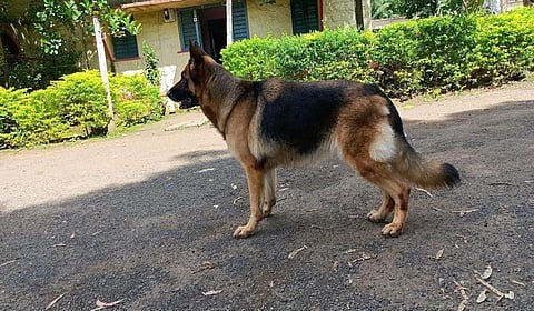 கோப்புப் படம்