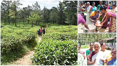 “வேலை இல்லை... பட்டினி கிடக்குறோம்!” - மாஞ்சோலை தொழிலாளர்கள் நிலை என்ன? | HTT Explainer