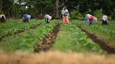 அதிக விளைச்சல் தரும் 109 பயிர் வகைகளை அறிமுகம் செய்கிறார் பிரதமர்
